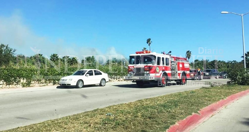 Se registra incendio en áreas del estero josefino; superficie afectada fue de aproximadamente 100 metros 