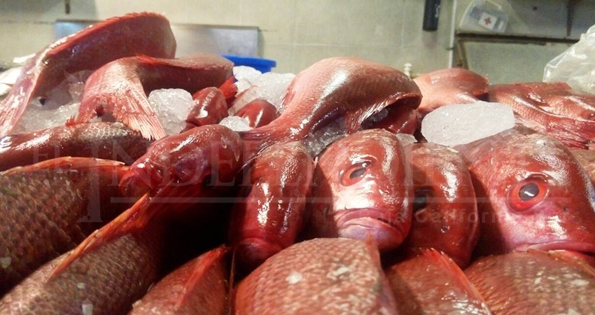 Por cuaresma realiza COEPRIS operativo de verificación en pescaderías