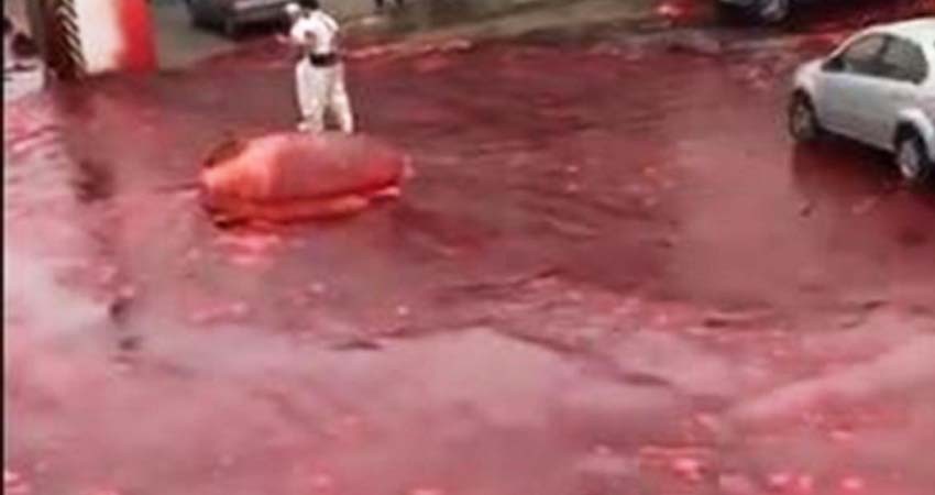 ¡Aterrador! Se desata 'río de sangre' en calles de Argentina ¡Aterrador! Se desata 'río de sangre' en calles de Argentina