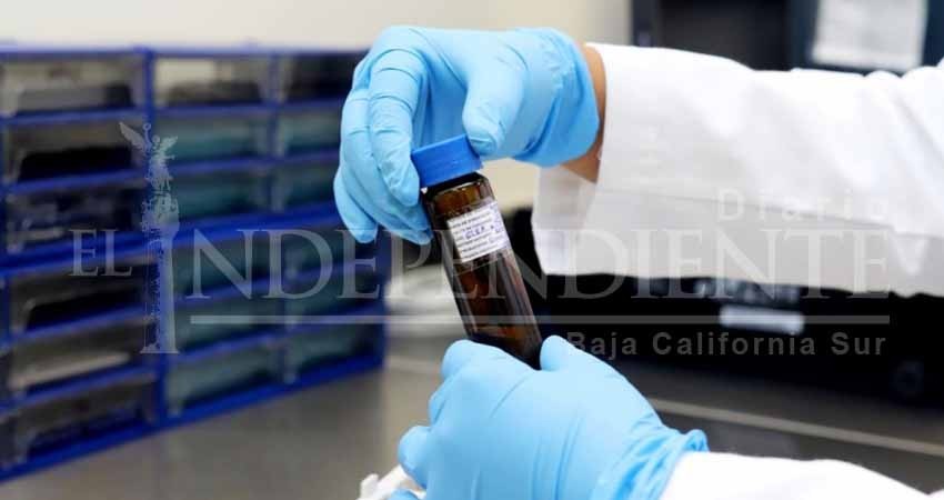 Descartado el único caso sospechoso de Coronavirus en BCS Descartado el único caso sospechoso de Coronavirus en BCS