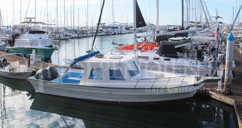 Cruceristas de La Paz se van con anticipación por COVID-19