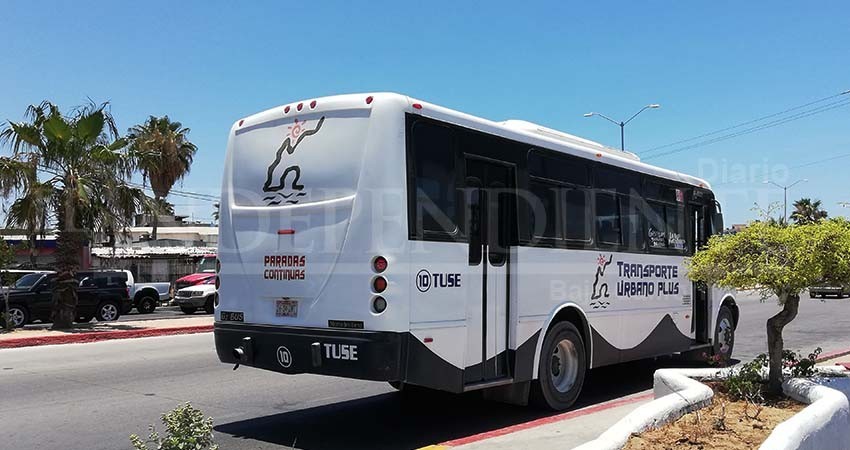 En Los Cabos, no hay límite de pasajeros a bordo de transporte público En Los Cabos, no hay límite de pasajeros a bordo de transporte público