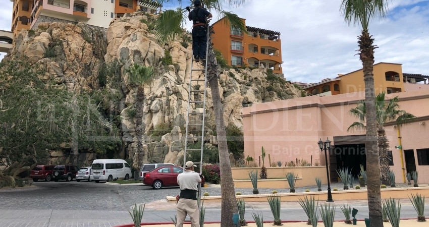 Hoteleros buscan mecanismos para no afectar a base trabajadora durante crisis del COVID-19 Hoteleros buscan mecanismos para no afectar a base trabajadora durante crisis del COVID-19