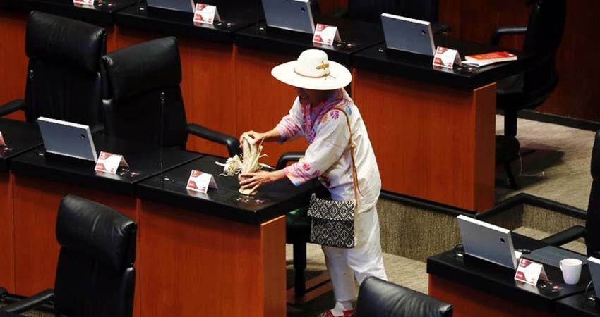 Aprueban ley para el fomento y protección del maíz nativo