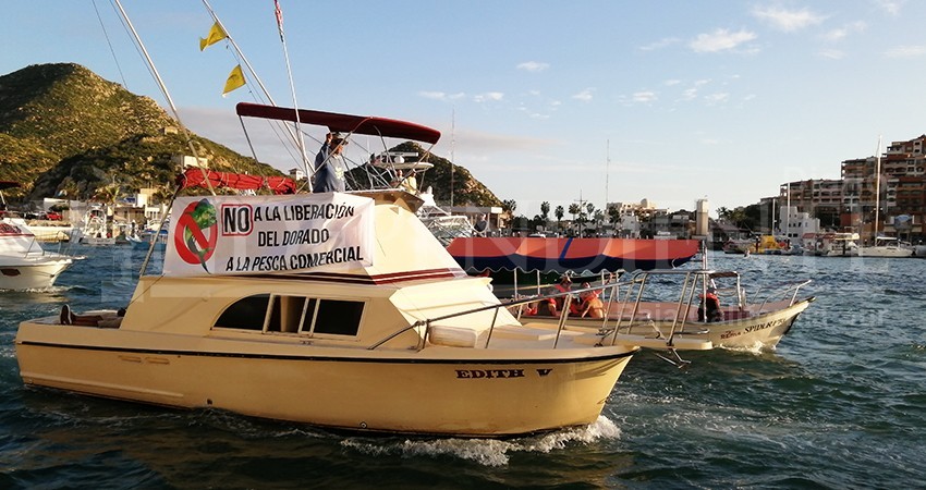 En alerta pescadores deportivos por otro intento de liberar Pez Dorado en México