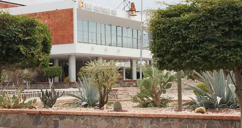 Senado de la república pide que gobierno del estado brinde apoyo fiscal a la población Senado de la república pide que gobierno del estado brinde apoyo fiscal a la población
