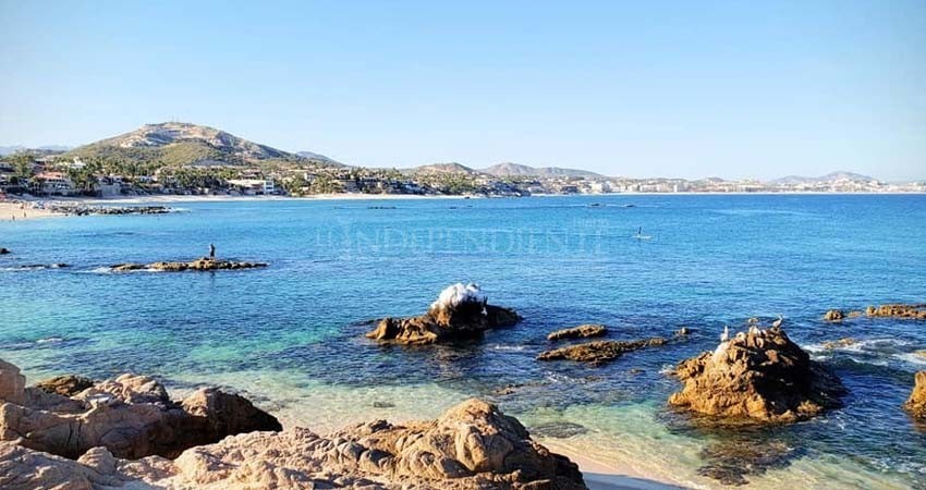 Distanciamiento social ha sido benéfico para las bellezas naturales de BCS