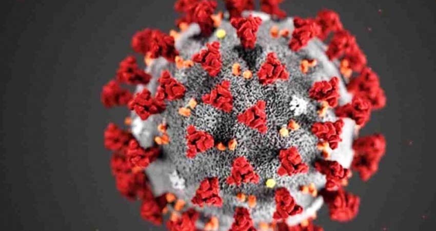 EU responde si el coronavirus es artificial o modificado genéticamente