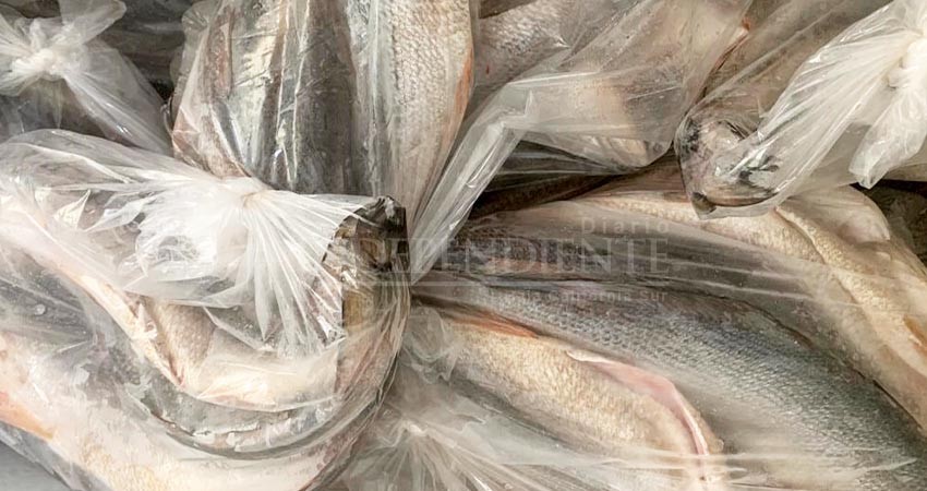 Suman varios kilos de pescado para el Centro de Trueque de la marina de CSL 