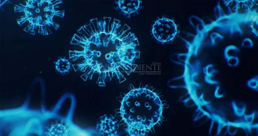 Confirman este domingo más pacientes infectados de COVID-19 en BCS