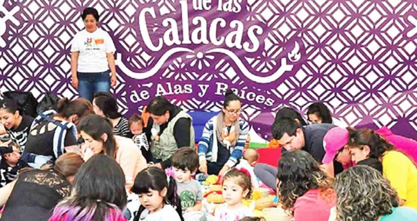 Recortes en Alas y Raíces; instrumentan una reducción del 75% Recortes en Alas y Raíces; instrumentan una reducción del 75%