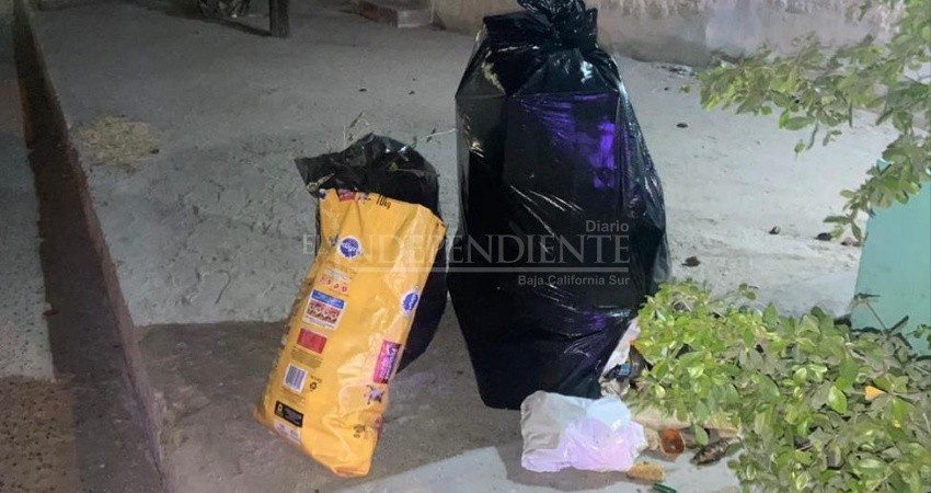 De nuevo paro de labores en Servicios Públicos Municipales de La Paz