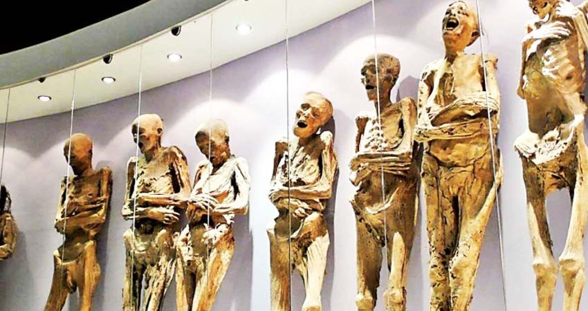 Preocupa estado de las momias de Guanajuato; hay una probable desaparición de 22 restos Preocupa estado de las momias de Guanajuato; hay una probable desaparición de 22 restos