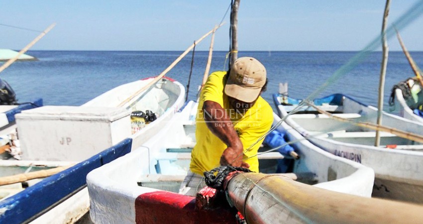 Adelantará gobierno federal incentivos de Bienpesca