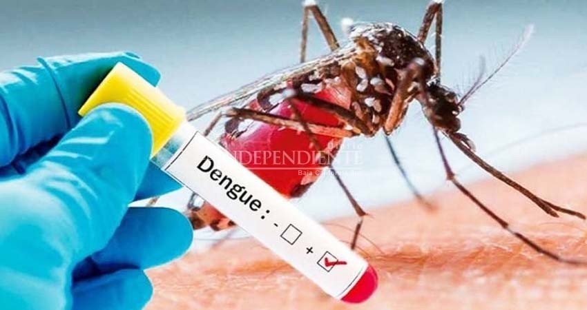 Registra BCS tres casos confirmados de dengue en lo que va del 2020 Registra BCS tres casos confirmados de dengue en lo que va del 2020
