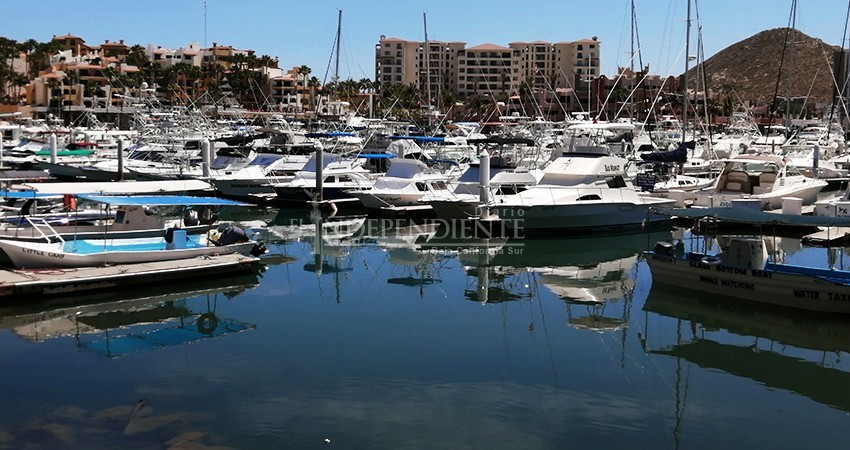 Dispuestos a innovar y aprender pescadores deportivos de Los Cabos para regresar a la mar 