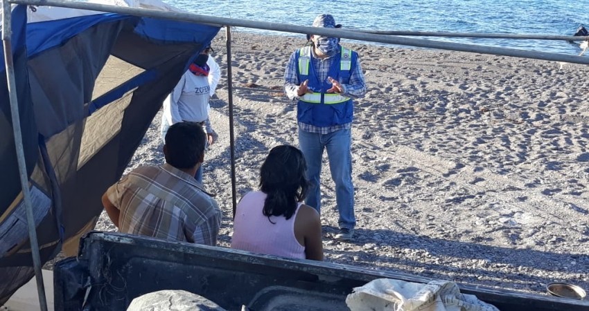 Este fin de semana, alrededor de 700 personas fueron retiradas de playas de La Paz y Los Cabos