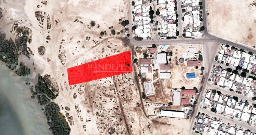 Identifican terreno que tiene en venta el Ayto La Paz, está dentro de manglares El Conchalito