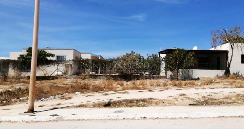 COVID-19 provoca un abandono completo de las escuelas