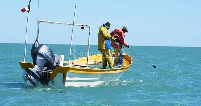Apoyos para pescadores por 7 mil 500 pesos ya están preaprobados