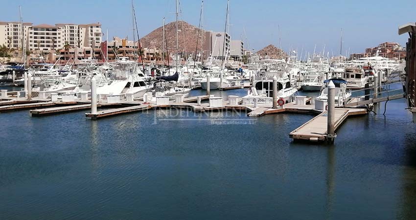 Tripulaciones locales deben ser consideradas para próximos torneos de pesca deportiva 