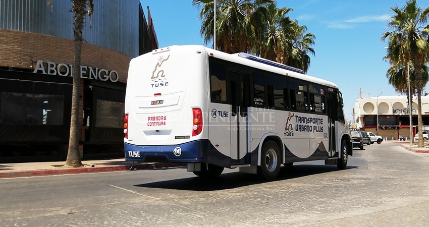 Transportistas de Los Cabos aseguran perder un millón de pesos diarios por COVID-19