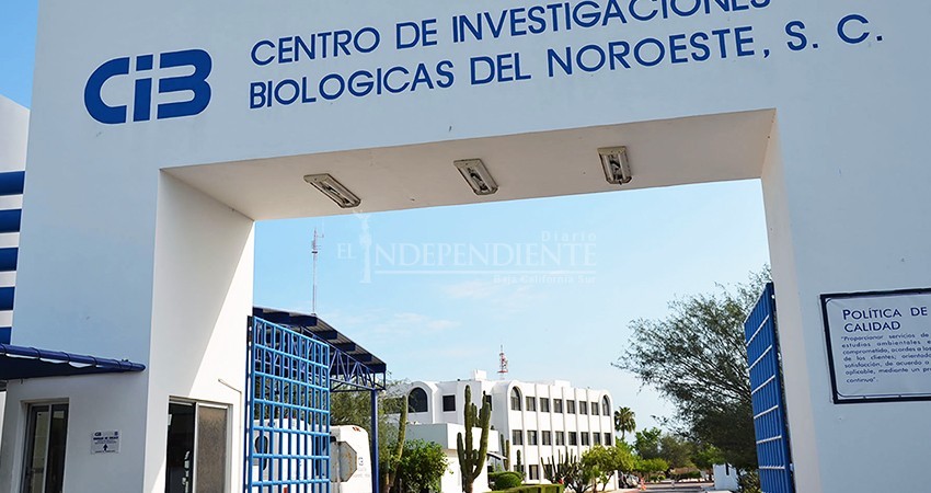 Explica CIBNOR: pruebas de tamizaje entre personal de SSA no son diagnósticos clínicos