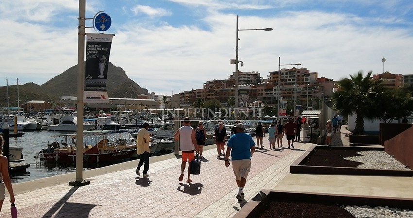 Puertos y cruceros se renuevan ante nueva realidad frente al COVID-19 