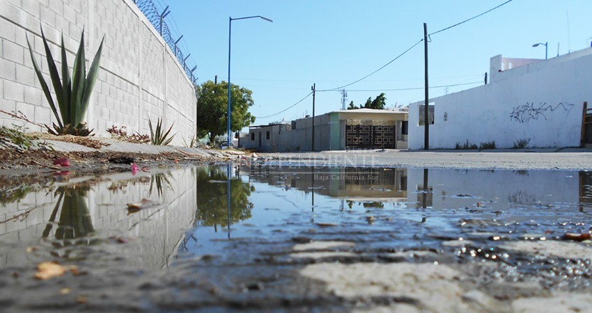 Mientras unos pasan semanas sin agua, por fugas se desperdicia el agua potable