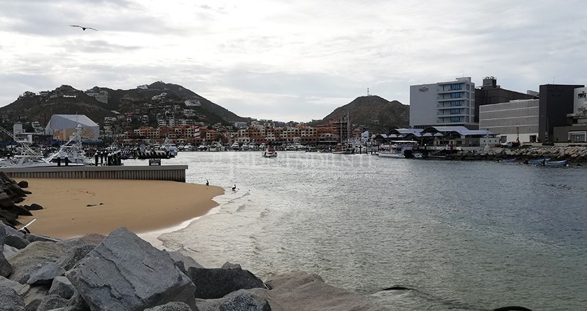 500 familias dependen en tierra, de economía del puerto de CSL: API