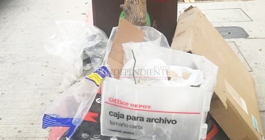 Centro de CSL tiene más basura en las calles que turistas Centro de CSL tiene más basura en las calles que turistas