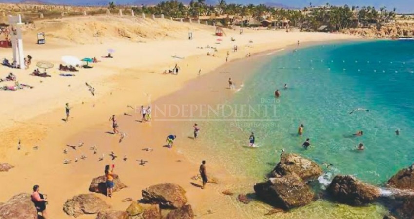 Los Cabos no cerrará sus playas Los Cabos no cerrará sus playas