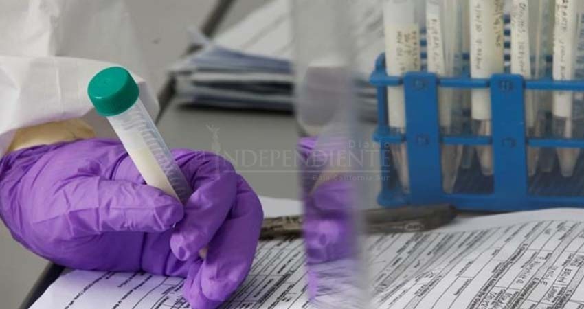 BCS con 237 nuevos casos COVID-19 durante el fin de semana; hay inconsistencias en las cifras BCS con 237 nuevos casos COVID-19 durante el fin de semana; hay inconsistencias en las cifras