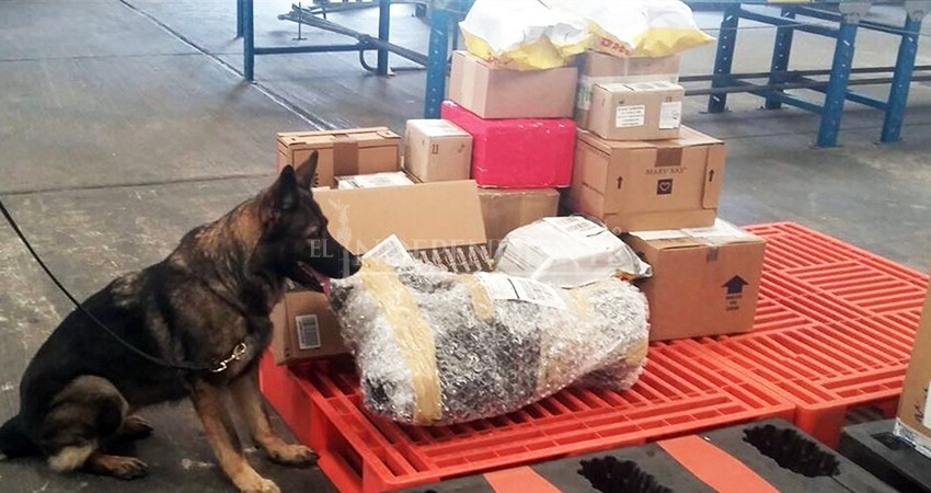 Por paquetería, el sistema favorito del narco para traficar hacia BCS