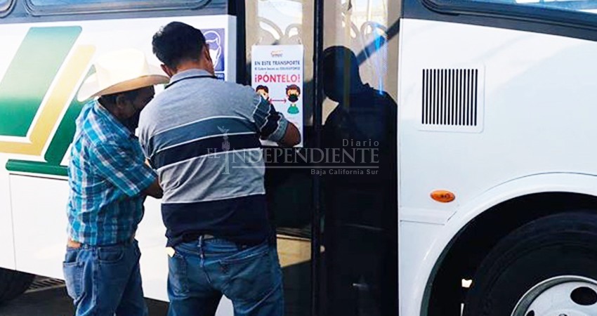 Información, gel y cubrebocas, la “nueva normalidad” en transporte público de Los Cabos