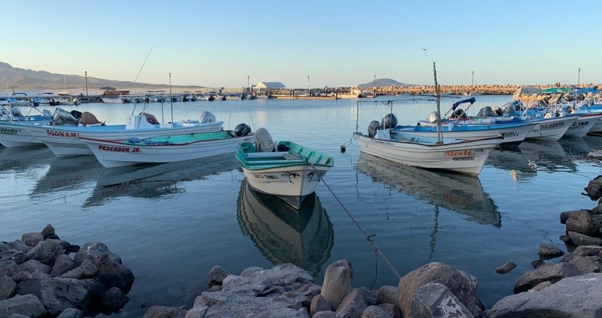 Podrán en Loreto iniciar actividades de turismo náutico y terrestre