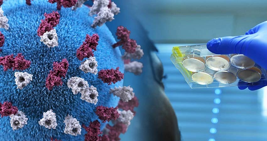 Suman 390,516 los casos positivos de covid-19 en México