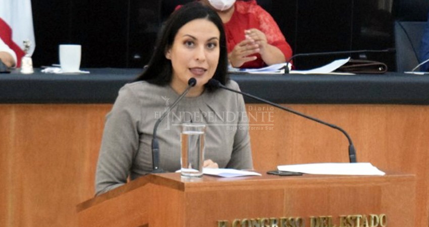 Sesiones virtuales si son legales: Milena Quiroga