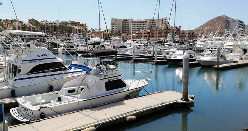 Listo protocolo de salud para torneos de pesca deportiva en BCS Listo protocolo de salud para torneos de pesca deportiva en BCS
