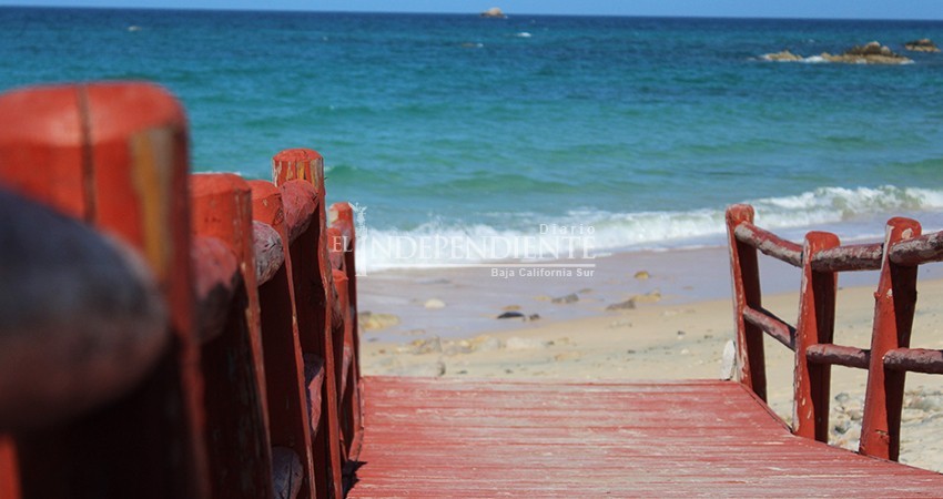 Suma Los Cabos más apertura de playas; levantan restricción en “Los Arbolitos” 