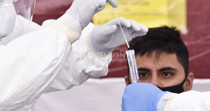 BCS es tercer lugar nacional en toma de muestras COVID 19: SSA