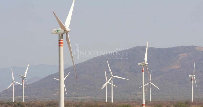 Baja California Sur no puede conectar energías renovables a su sistema: CENACE Baja California Sur no puede conectar energías renovables a su sistema: CENACE