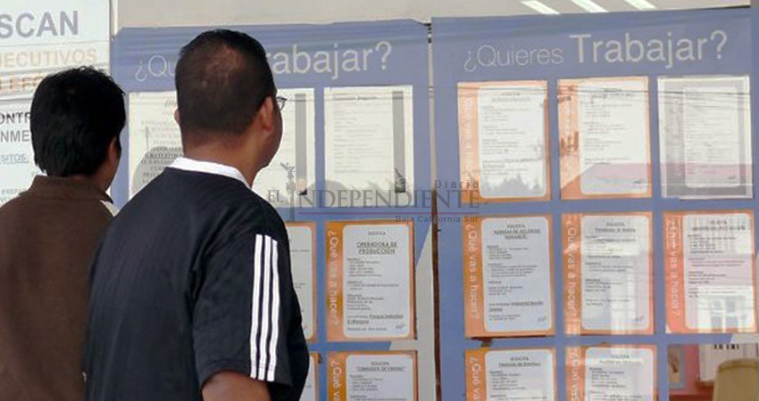 “Dicen que hay recuperación, pero empleo en BCS cayó 10% más en julio”: Observatorio “Dicen que hay recuperación, pero empleo en BCS cayó 10% más en julio”: Observatorio