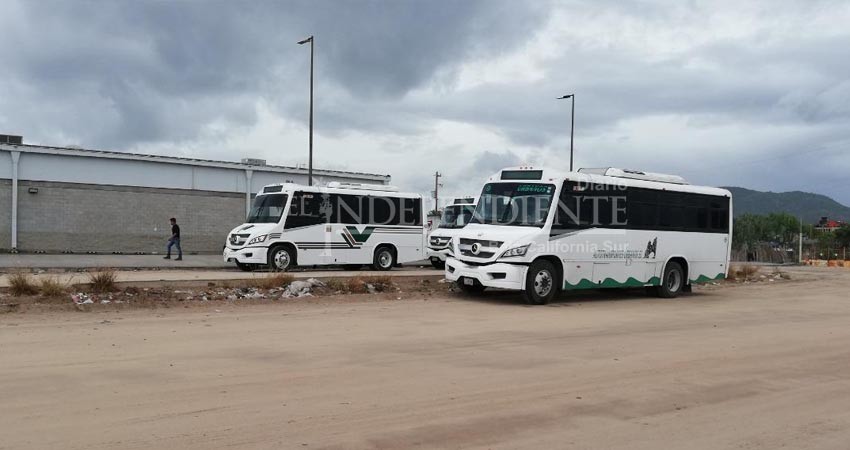 Siguen trabajando colectivos y urbanos en CSL: TRACOLSA