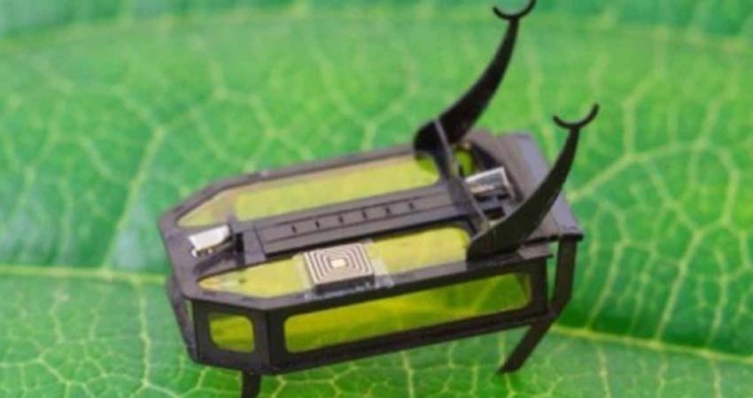 Crean robot del tamaño de un escarabajo y movido por metanol