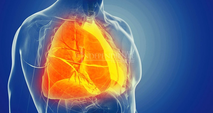 En aumento pacientes recuperados al igual que contagios y muertes por COVID-19 en BCS