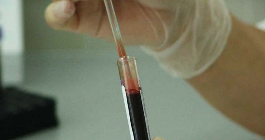 Descubren 568 genes con potencial para producir cáncer Descubren 568 genes con potencial para producir cáncer