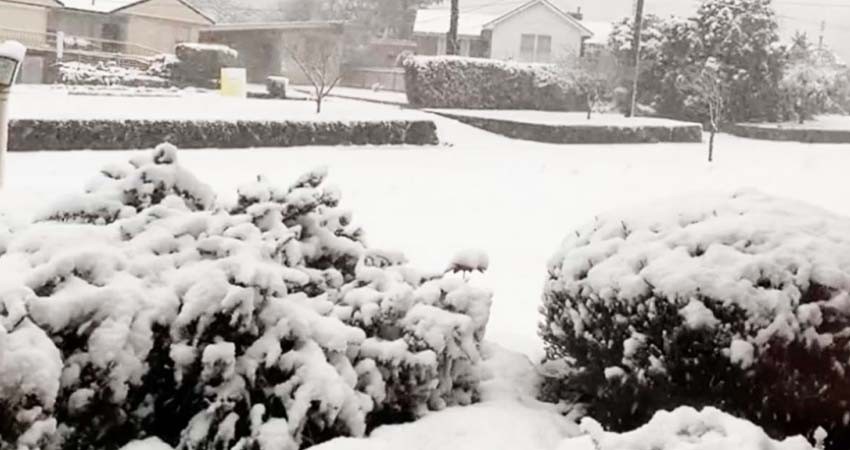 Inusual nevada sorprende a Australia