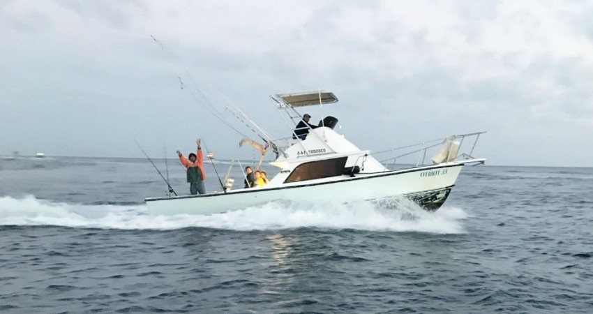 Se reactiva pesca deportiva a particulares en BCS