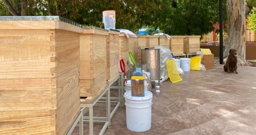 Desarrollo Social de La Paz entregó apoyos por 1.5 mdp a productores apícolas de zonas rurales